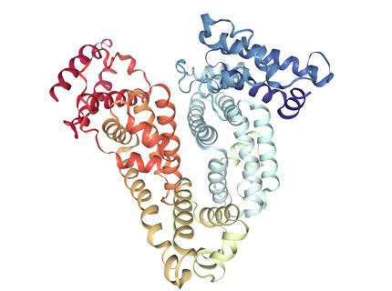 Albumin